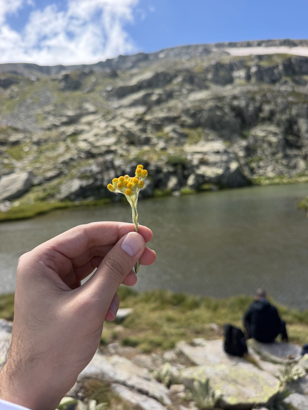 Endemic Plants of Uludağ 2